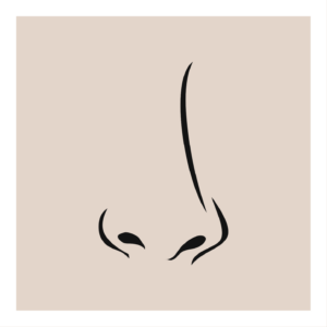 Nez