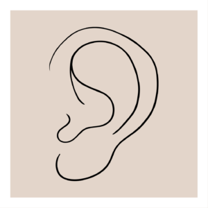 Oreille