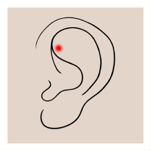 Rook