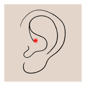 Daith